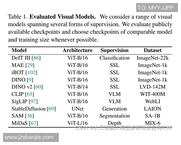 上海滑板队成员个人能力表现的数据分析与评估研究